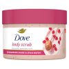 Dove Exfoliating Body Polish Pomegranate Seeds and Shea Butter Body Scrub 10 5 oz 4bf2189c 452d 4555 b280 8d4ab2d01a4f.e2c91000c0196a557c0508716a62b096